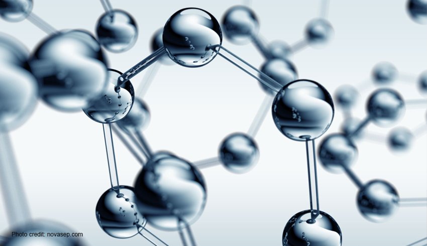 Hidrolize Kolajen ve Peptit Nedir? Etikette Neden Bunları Aramalısınız?